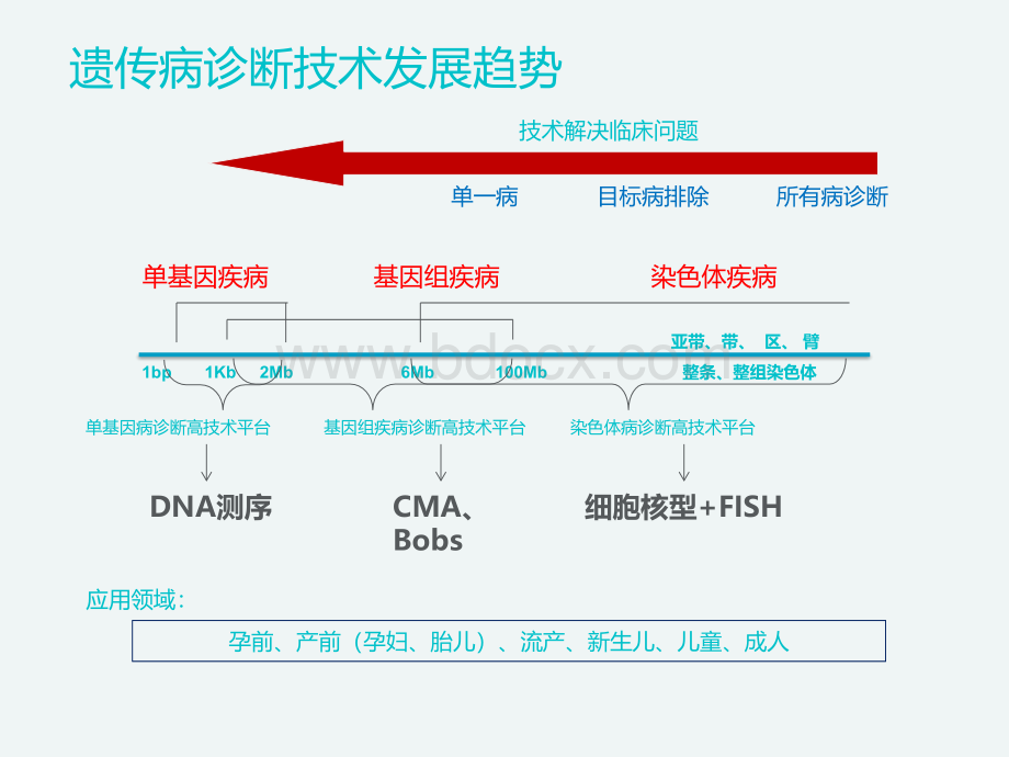 BoBs在临床中的应用优质PPT.ppt_第2页