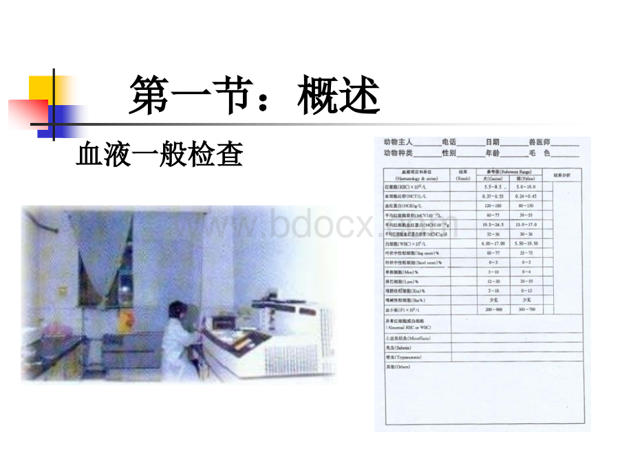 犬猫实验室检查PPT文件格式下载.ppt_第3页