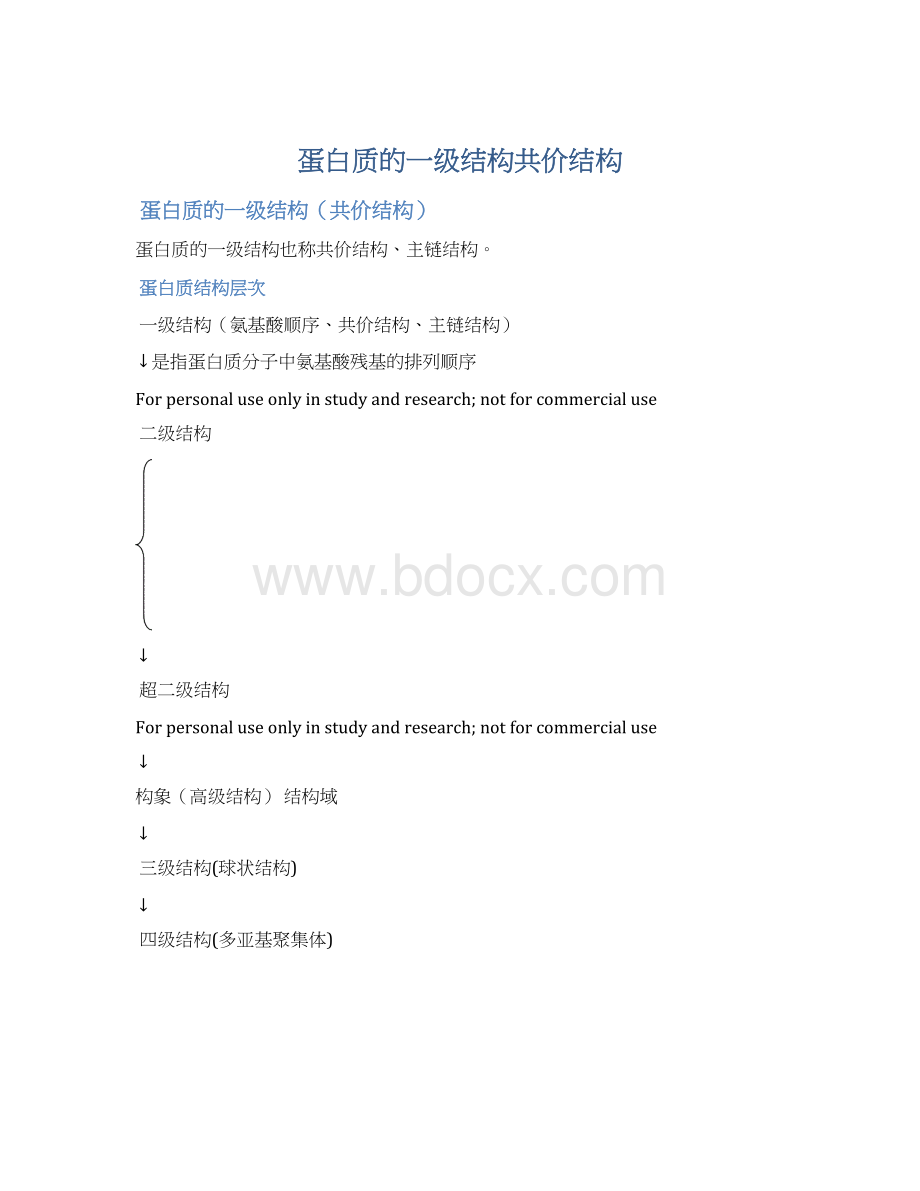 蛋白质的一级结构共价结构Word下载.docx