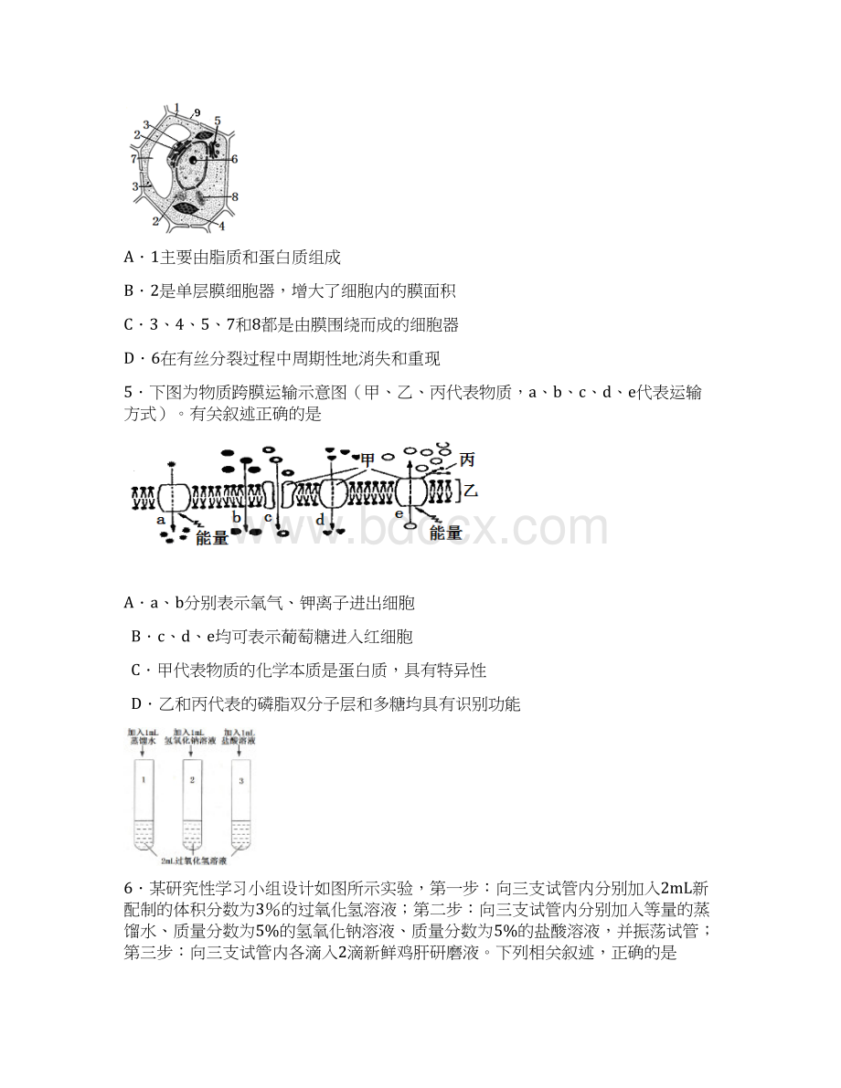 江苏省南京市普通高中学业水平测试训练样题 生物 Word版含答案.docx_第2页