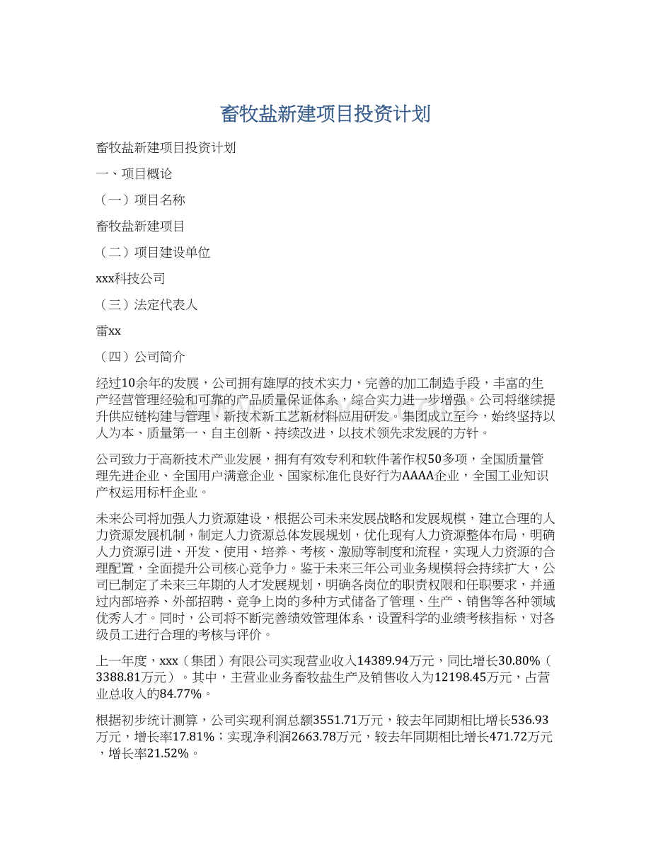 畜牧盐新建项目投资计划Word格式文档下载.docx