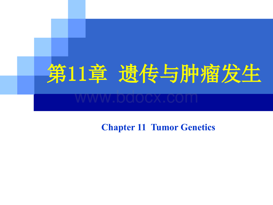 12肿瘤遗传学.ppt_第1页