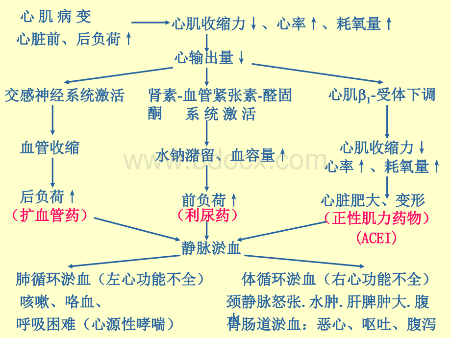 抗慢性充血性心力衰竭药物.ppt_第3页