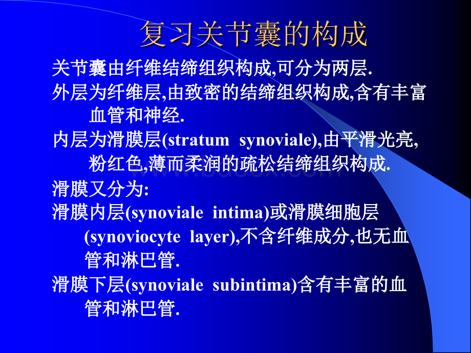 类风湿关节炎中国医科大学PPT推荐.ppt_第3页