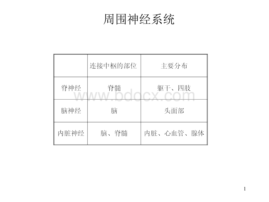 人体解剖学-脊神经PPT文档格式.ppt_第1页