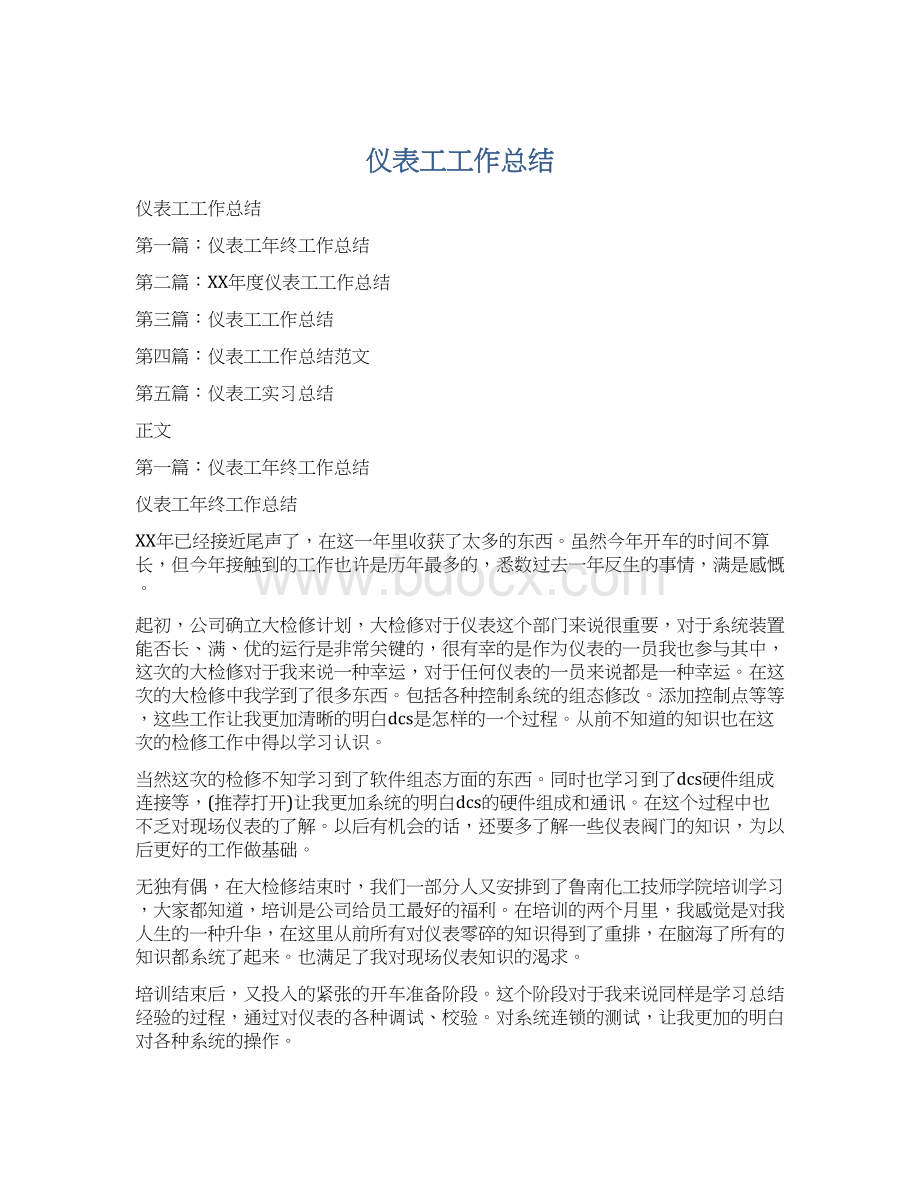 仪表工工作总结文档格式.docx