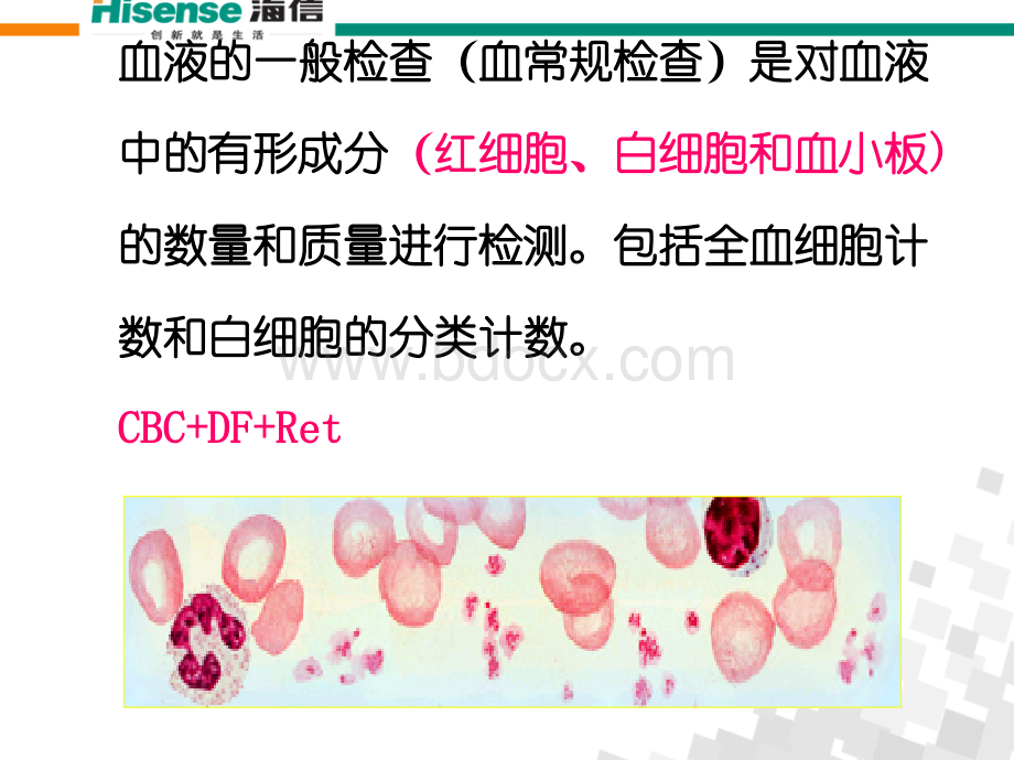 血常规检查及其意义_精品文档.ppt_第2页