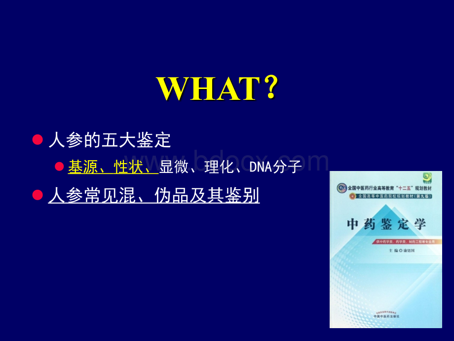 根与根茎类中药人参的鉴定.ppt_第2页