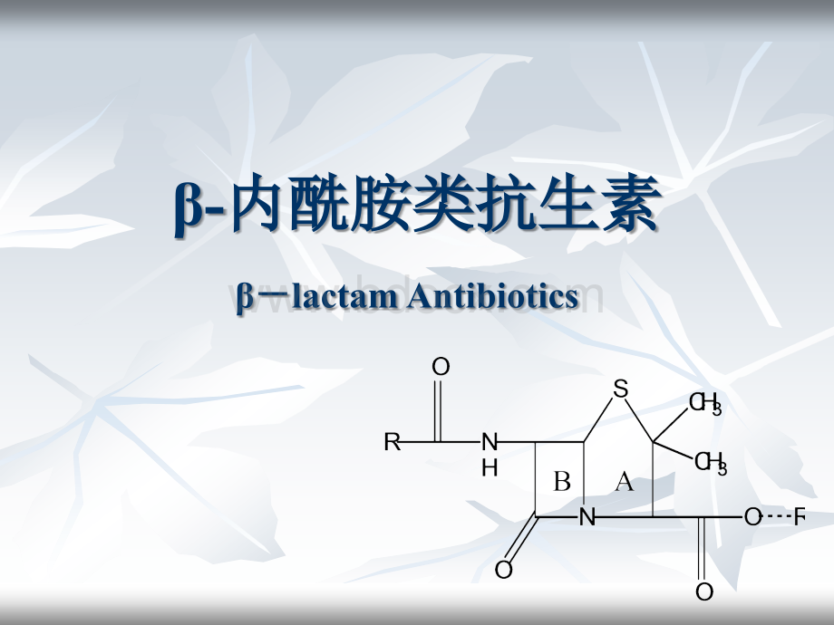 34β-内酰胺类抗生素.ppt