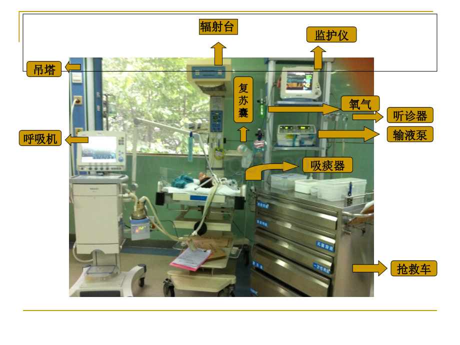 抢救设备管理.ppt_第2页