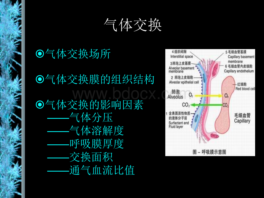 机械通气在急诊的应用.ppt_第3页