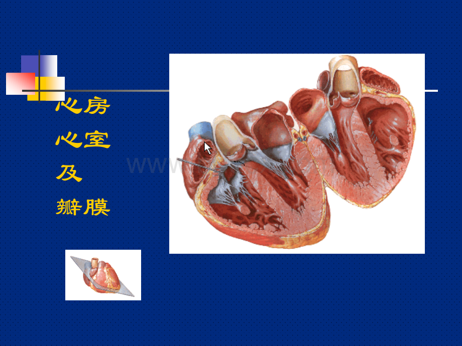 临床医学概要11高血压病.ppt_第2页