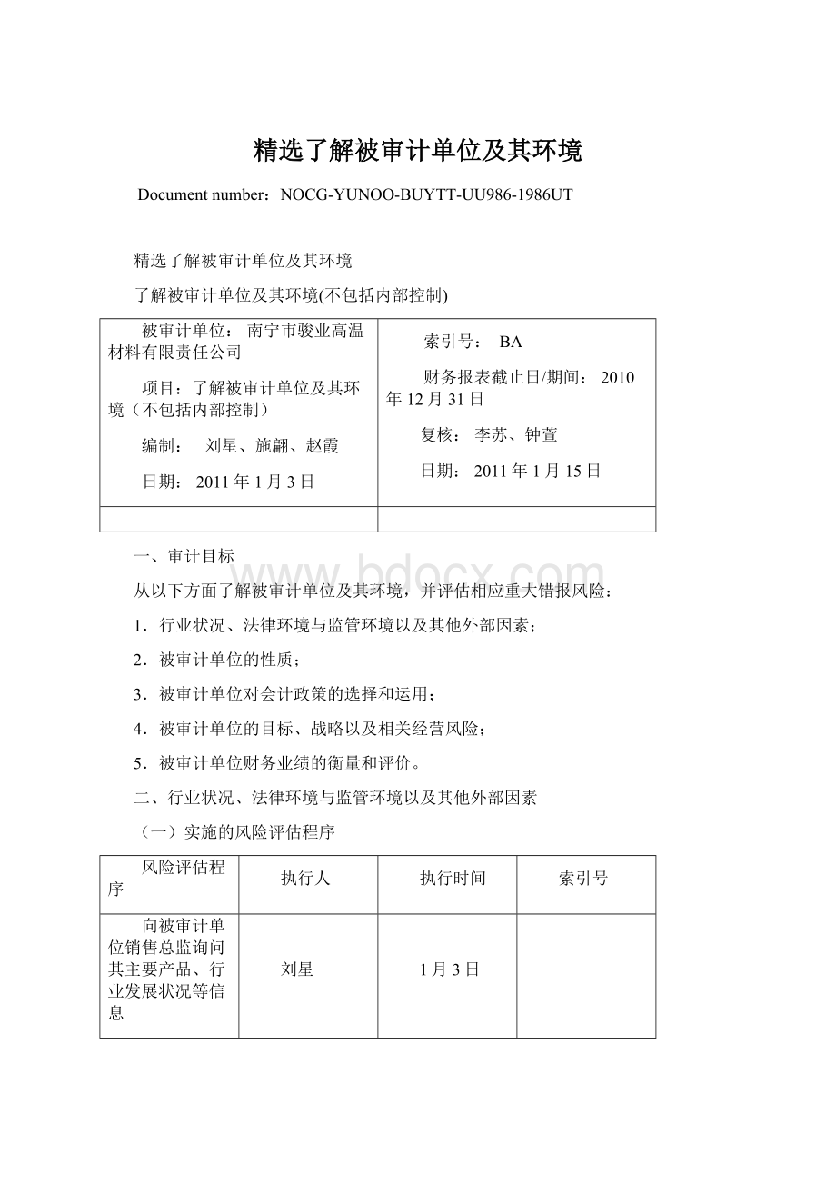 精选了解被审计单位及其环境.docx