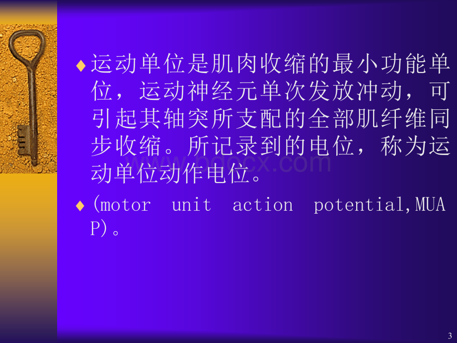 肌电图学基本原理及应用PPT文件格式下载.ppt_第3页