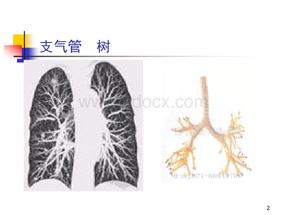 12慢性阻塞性肺疾病.ppt_第2页
