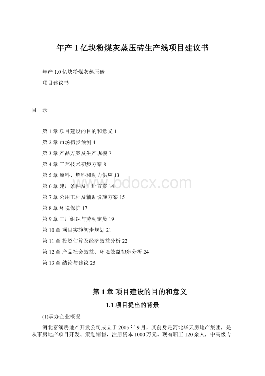 年产1亿块粉煤灰蒸压砖生产线项目建议书Word文档格式.docx