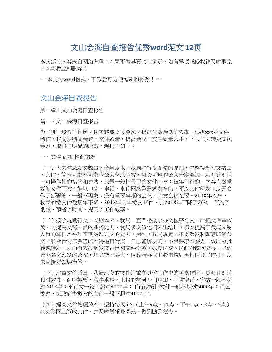 文山会海自查报告优秀word范文 12页文档格式.docx