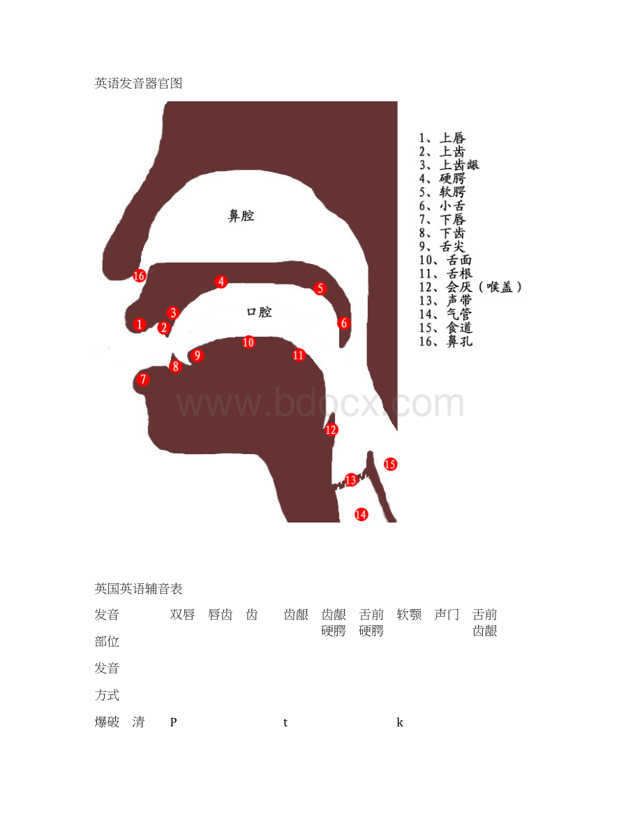 英语语音教程汇总共38页.docx_第3页