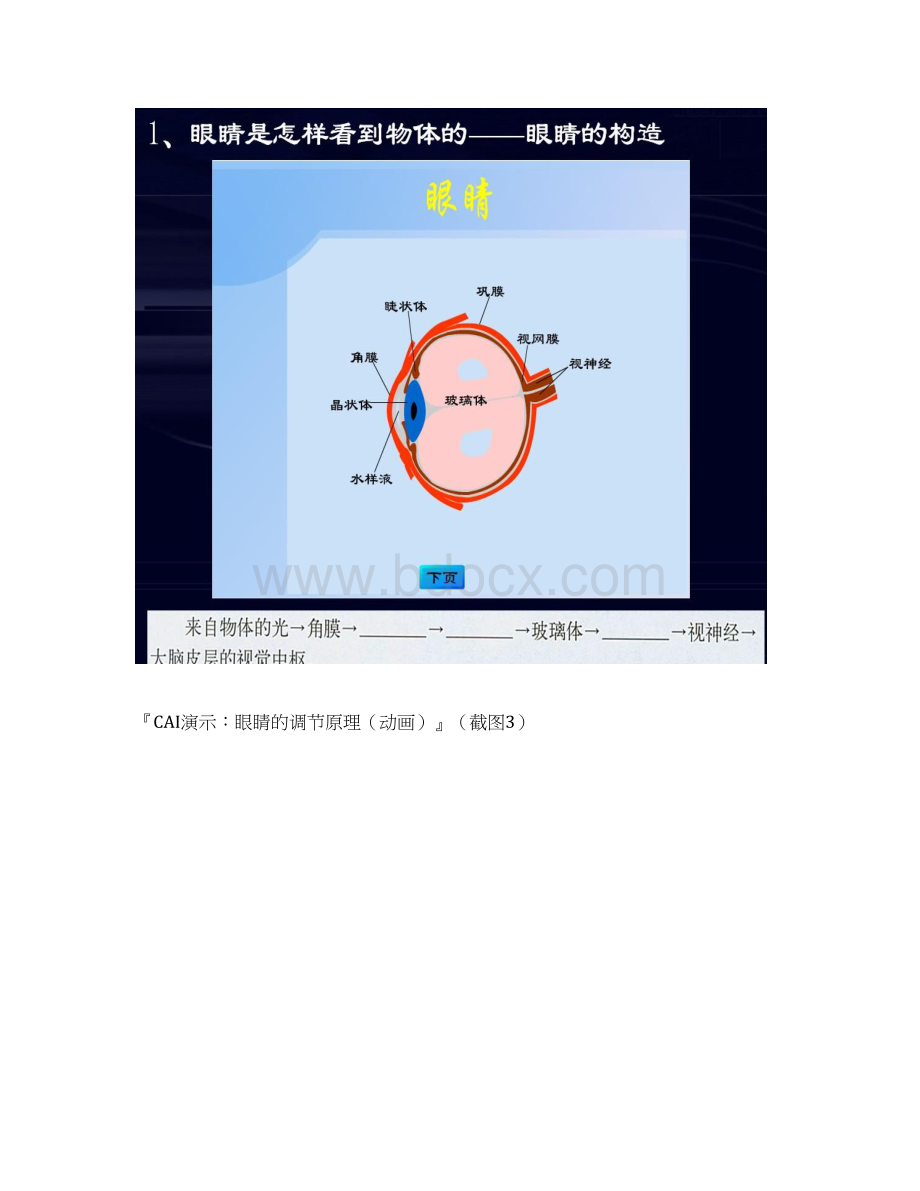 37眼睛与光学仪器 教案2物理粤教沪科版八年级上册.docx_第3页