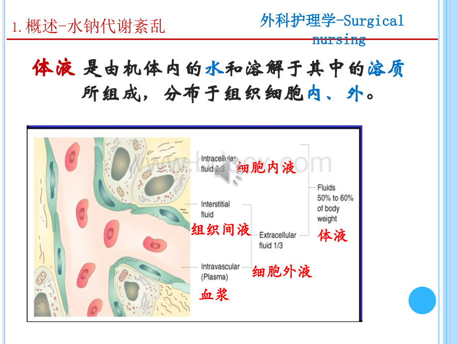 外科----水电解质及酸碱失衡病人的护理.ppt_第3页