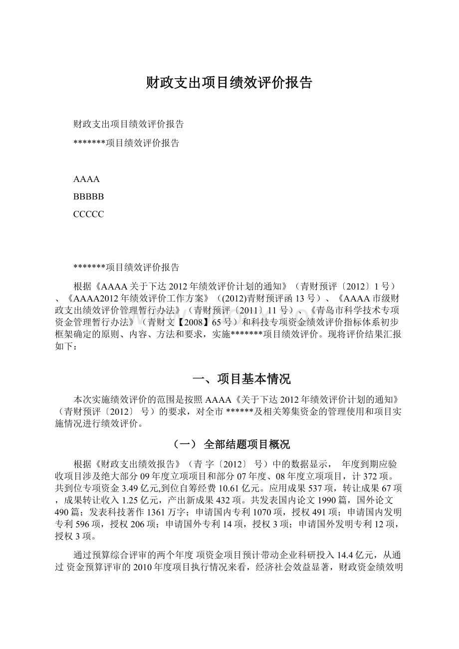 财政支出项目绩效评价报告文档格式.docx