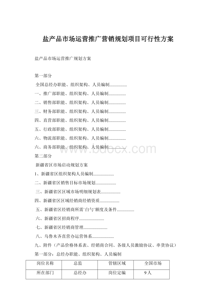 盐产品市场运营推广营销规划项目可行性方案.docx_第1页