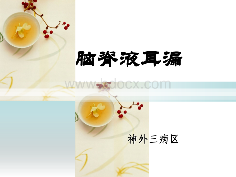 脑脊液耳漏的护理_精品文档.ppt