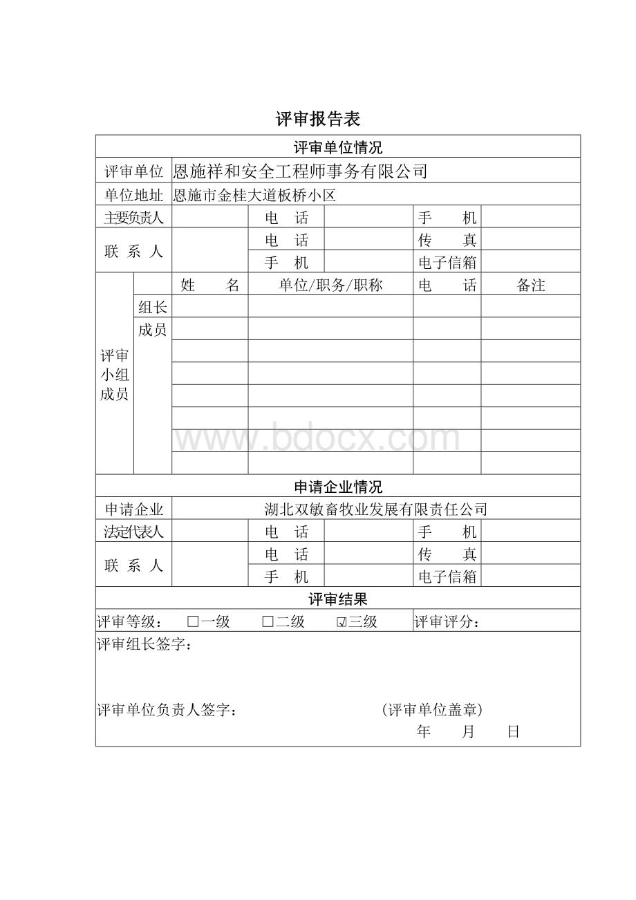 省企业安全生产标准化评审报告Word文档格式.doc_第2页