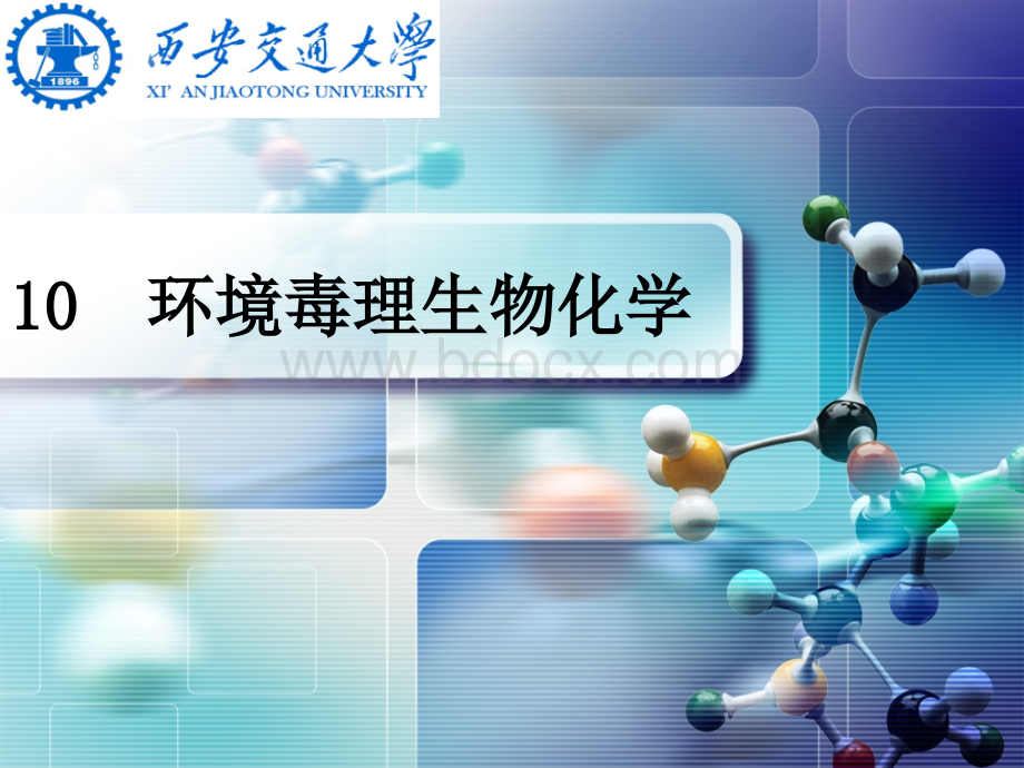 环境生物化学第十章PPT资料.ppt_第1页