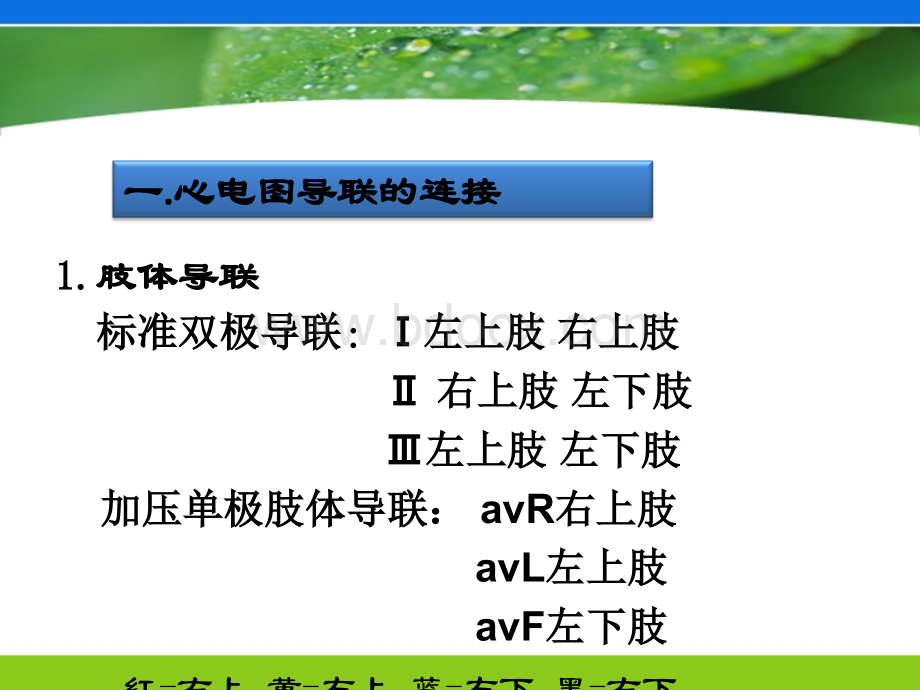 教你学看心电图.ppt_第2页