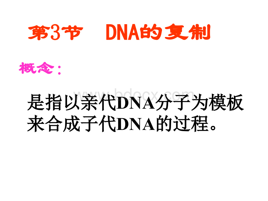 DNA的复制.ppt_第1页