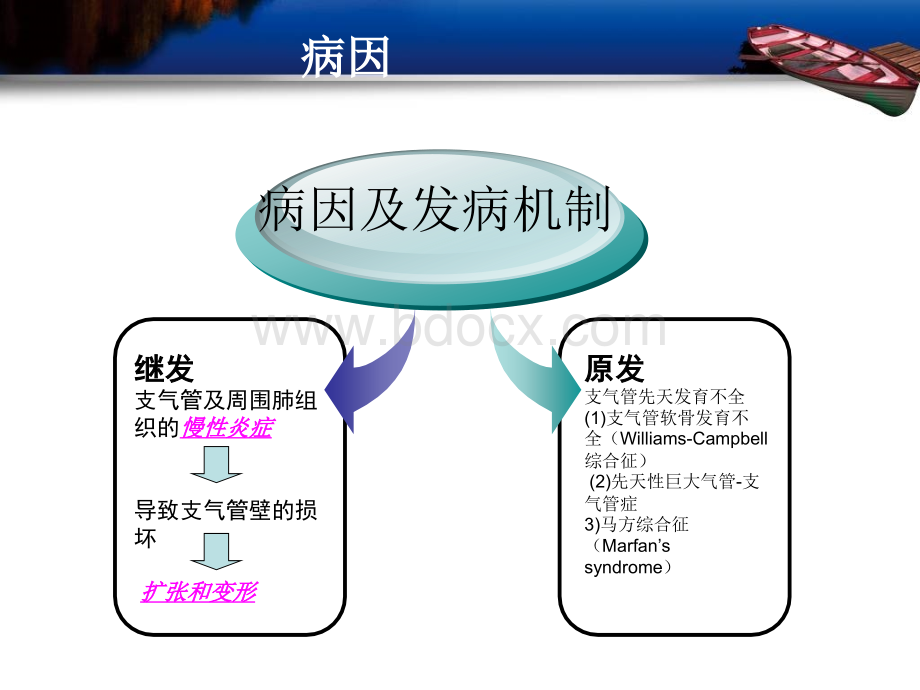 支气管扩张抗生素规范治疗PPT文档格式.ppt_第3页