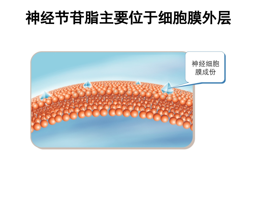 儿科GM1.pptx_第2页