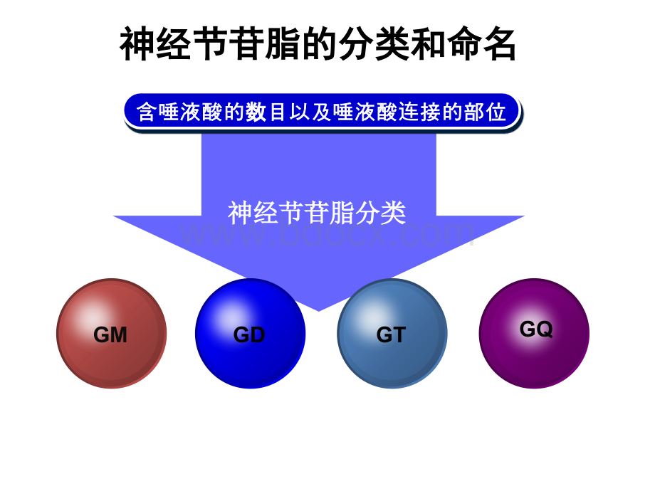 儿科GM1.pptx_第3页