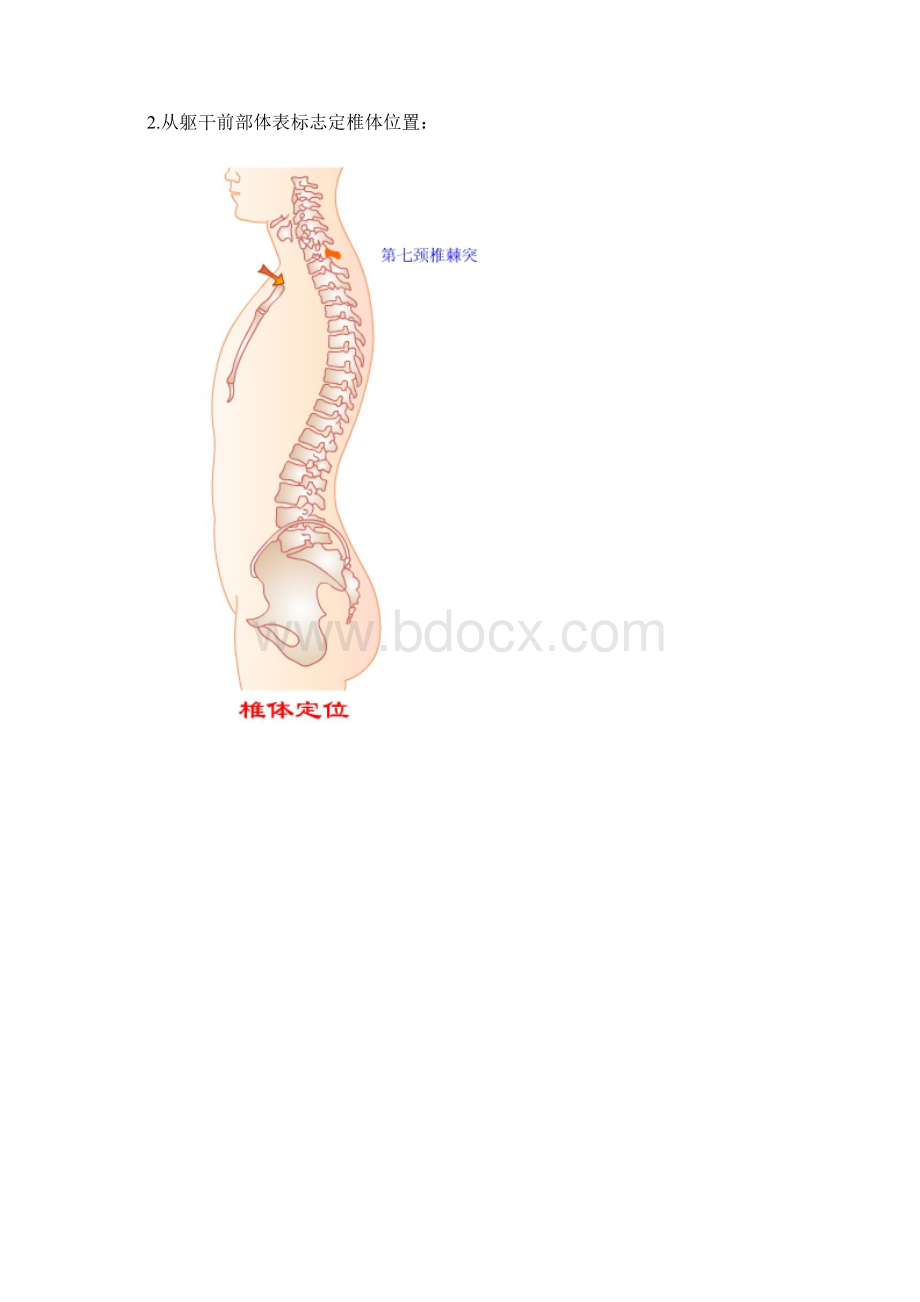 体格检查脊柱检查2.docx_第3页