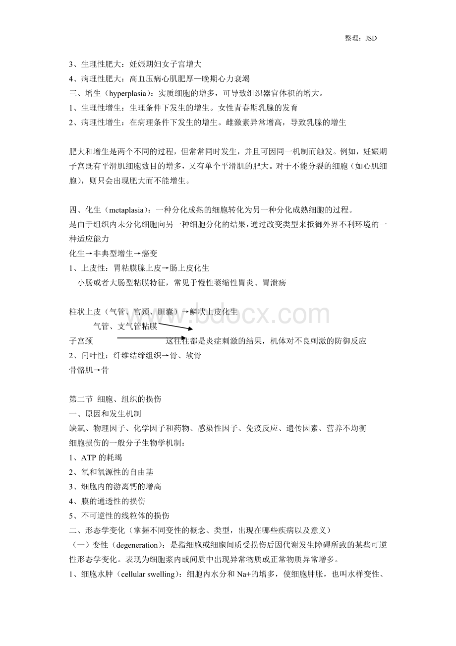 病理学笔记大全Word格式.doc_第3页