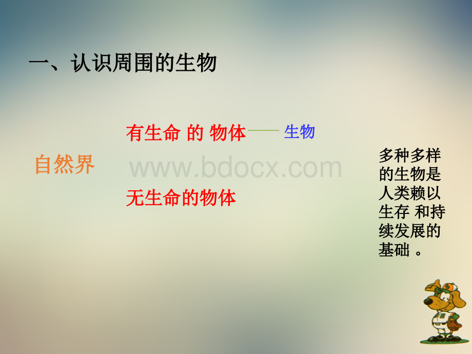 苏教版七年级上我们周围的生物 (1).ppt_第3页