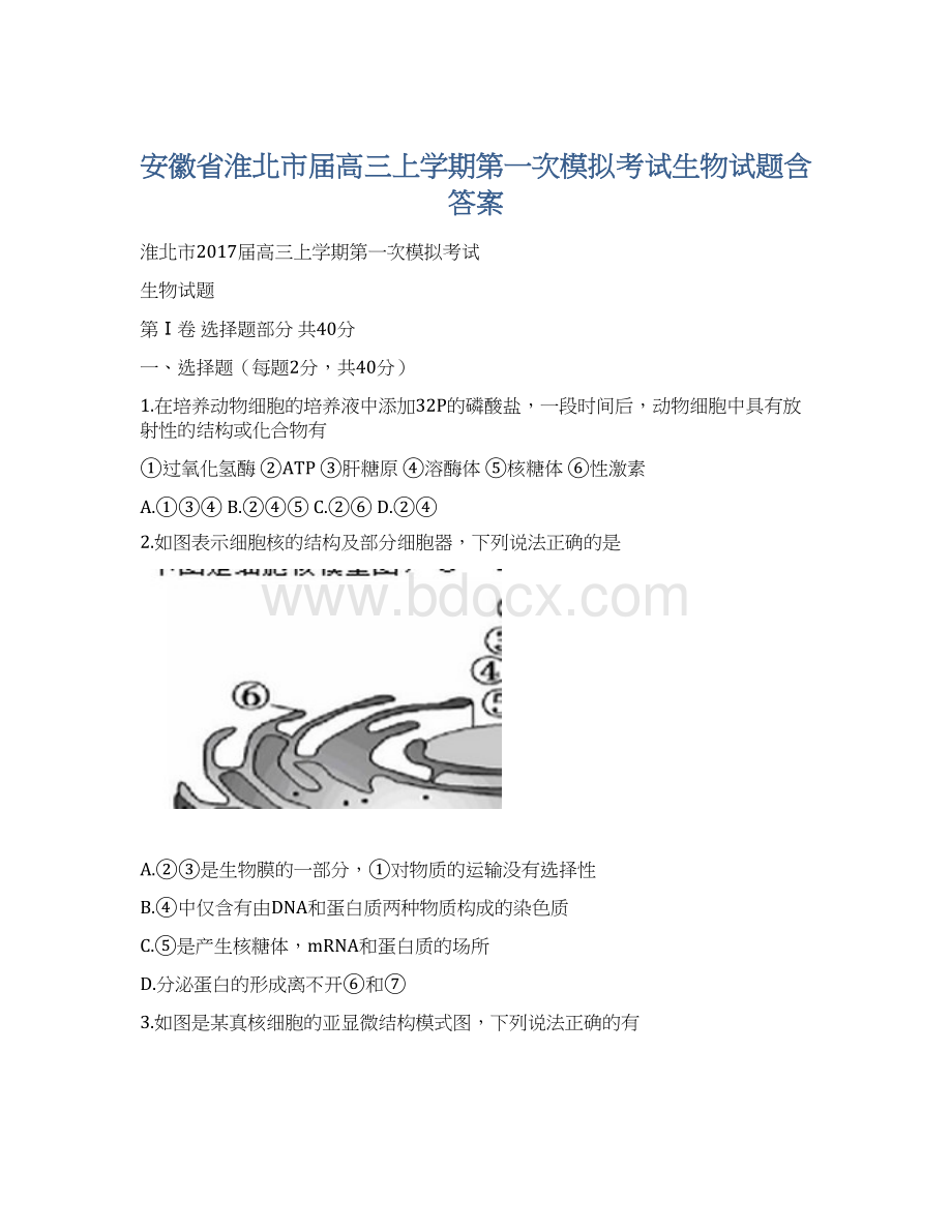 安徽省淮北市届高三上学期第一次模拟考试生物试题含答案Word文档格式.docx