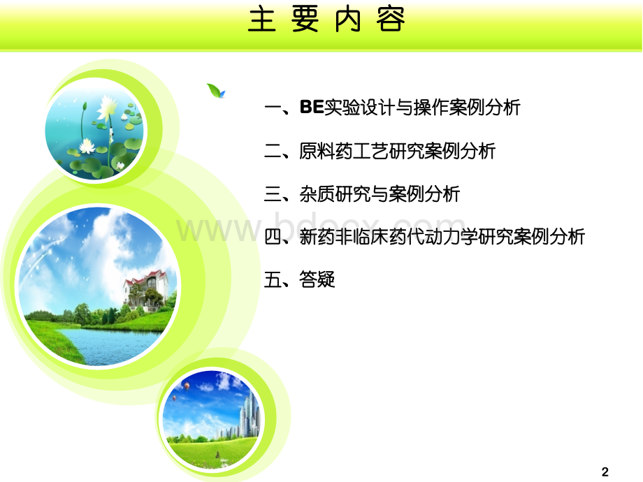 石家庄-化药审评案例分析.ppt_第2页