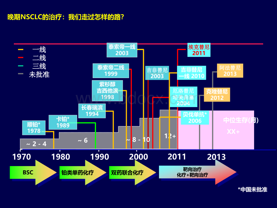 NSCLC靶向治疗2.ppt_第2页