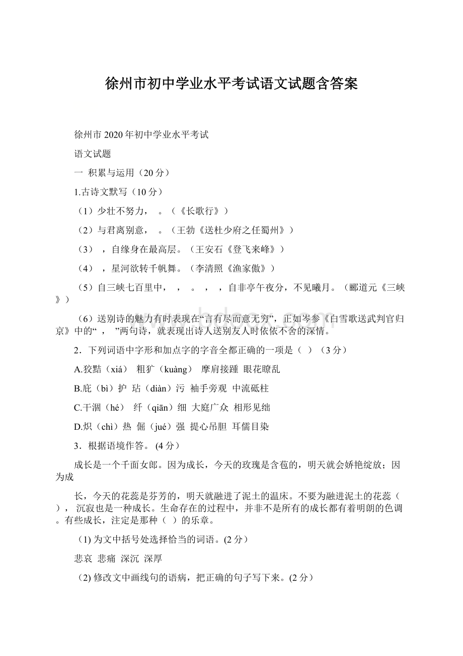 徐州市初中学业水平考试语文试题含答案.docx