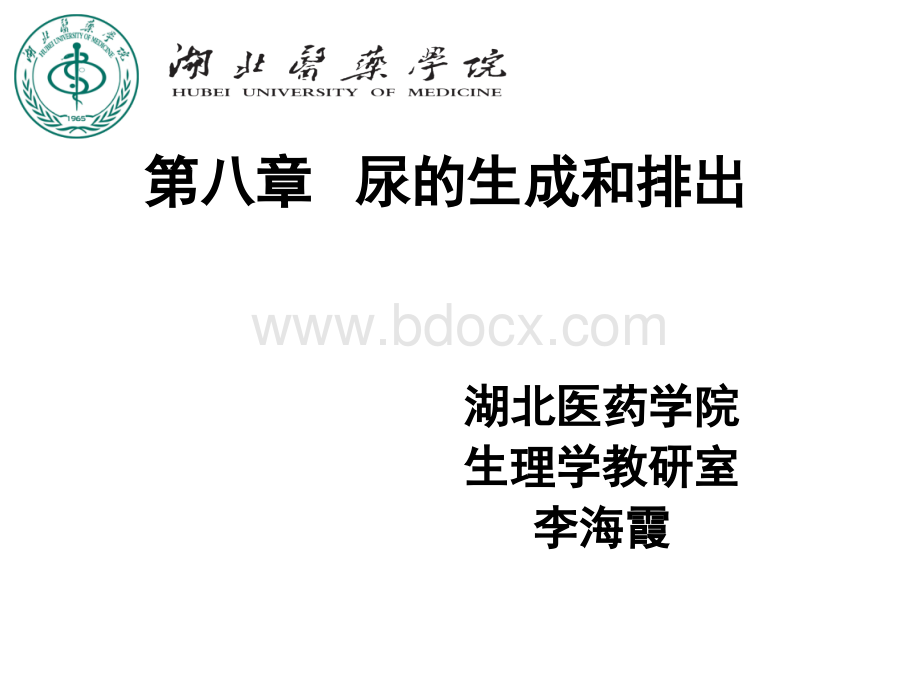 尿生成和排出PPT格式课件下载.ppt_第1页