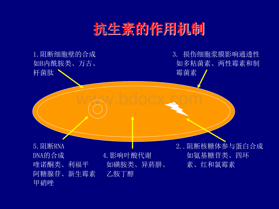 抗生素分类及用药原则.ppt_第2页