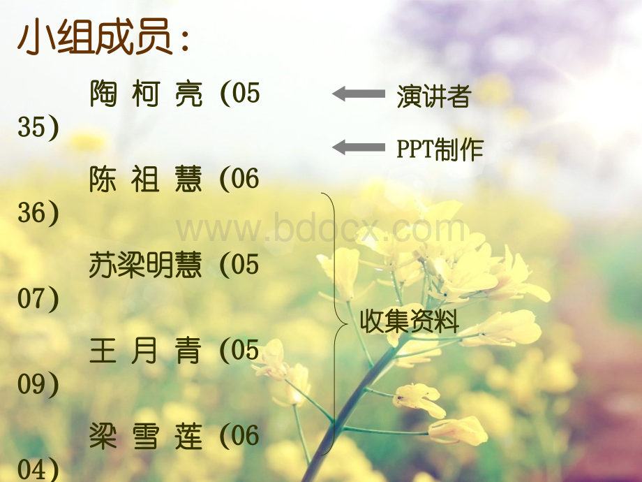 会计制度设计PPT.ppt_第2页