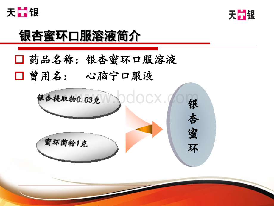 银杏蜜环_精品文档.ppt_第3页