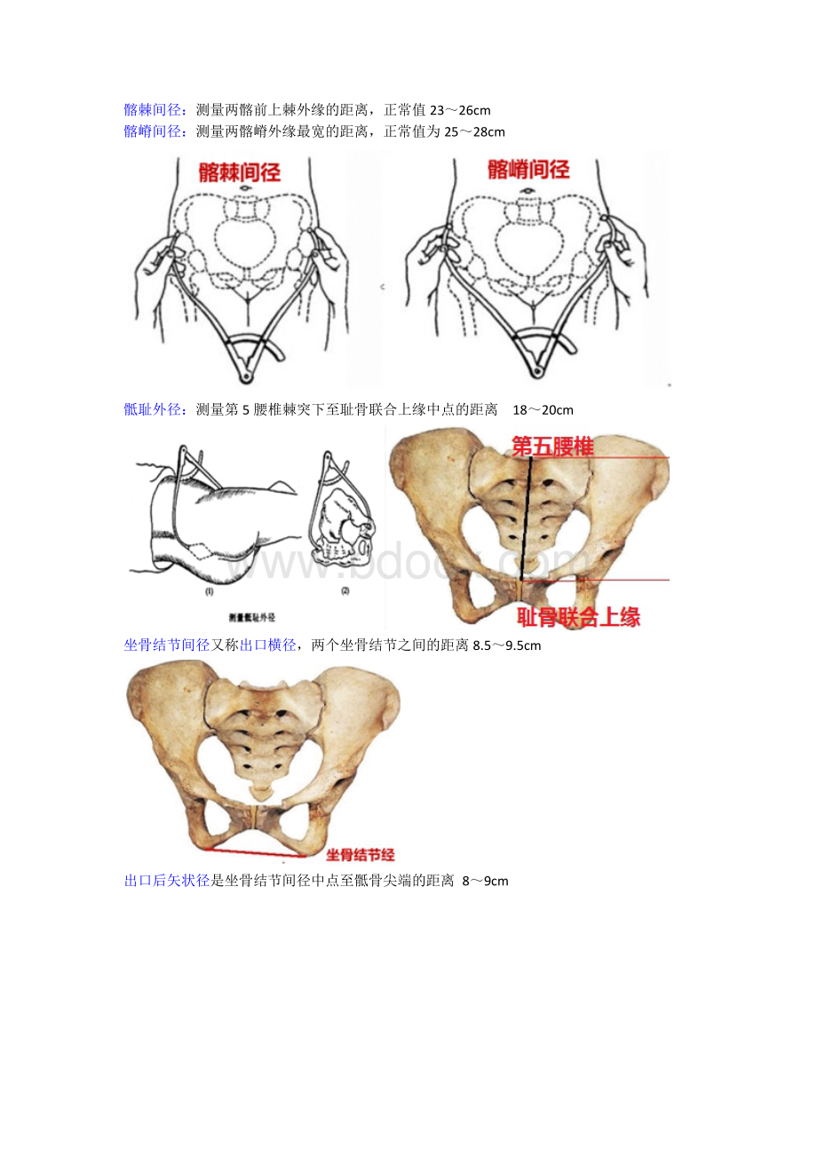 骨盆测量及记忆口诀_精品文档Word文档格式.docx_第2页