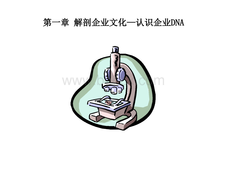 企业文化培训课程讲义.ppt_第3页