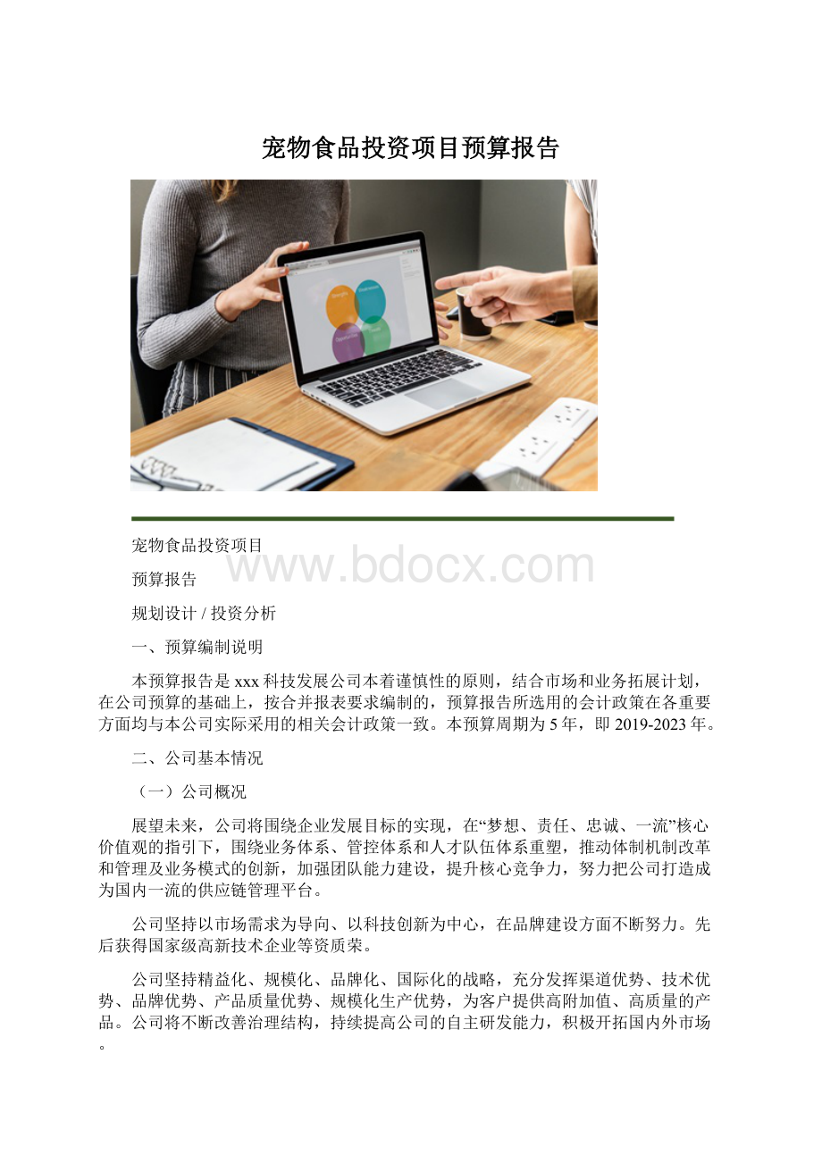 宠物食品投资项目预算报告.docx_第1页