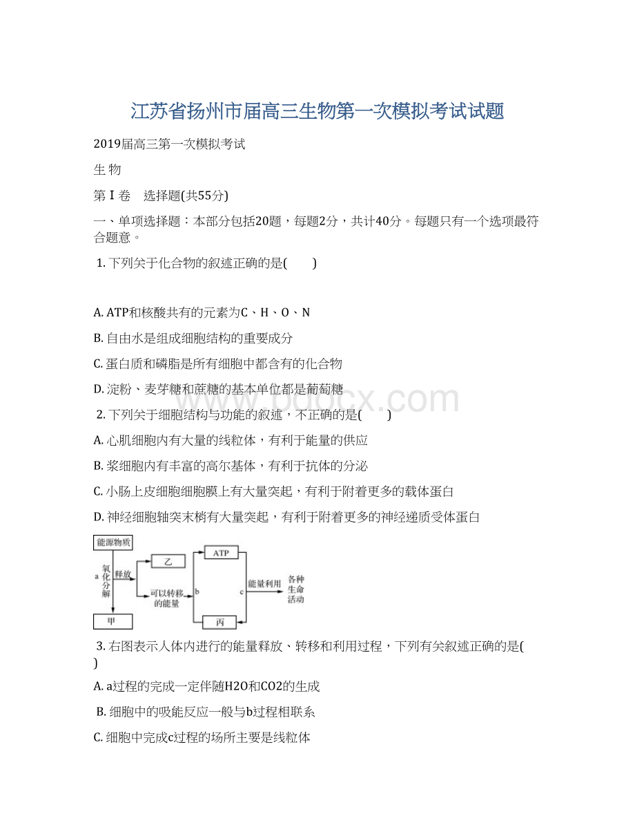 江苏省扬州市届高三生物第一次模拟考试试题.docx