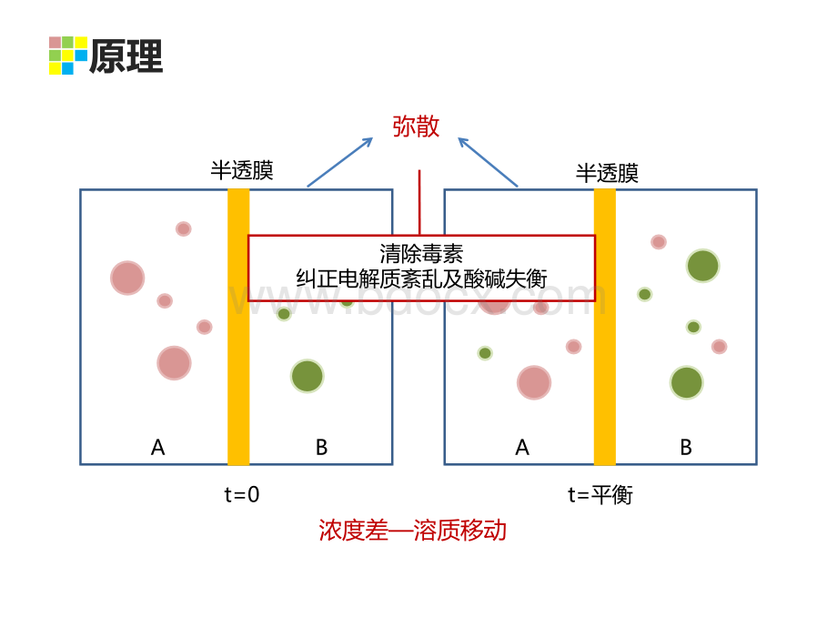 血液透析概述_精品文档PPT资料.ppt_第3页